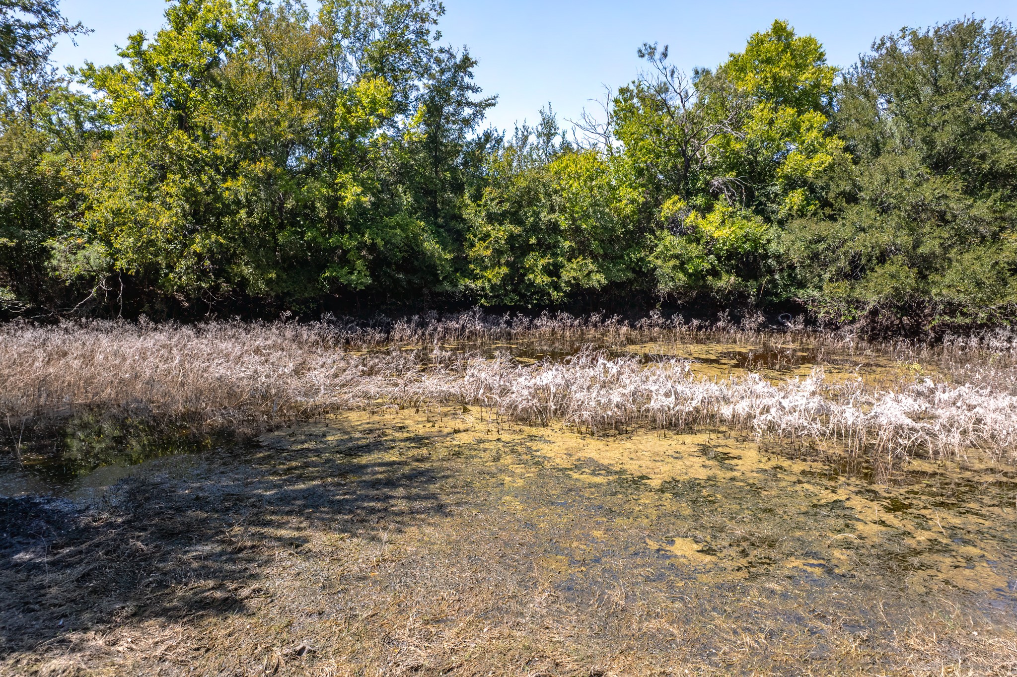 15075 Cr 355 Dublin TX 76446