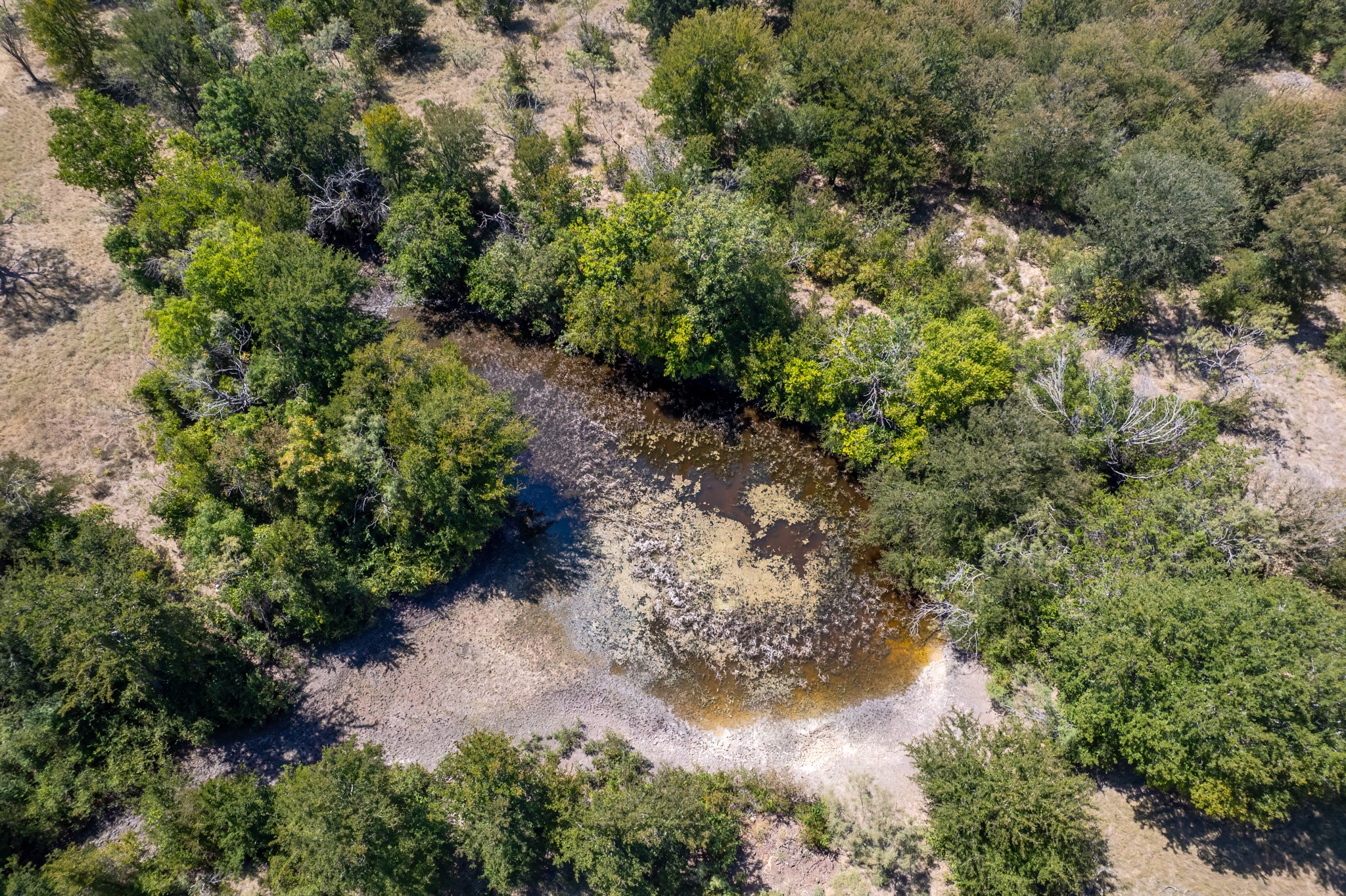 15075 Cr 355 Dublin TX 76446