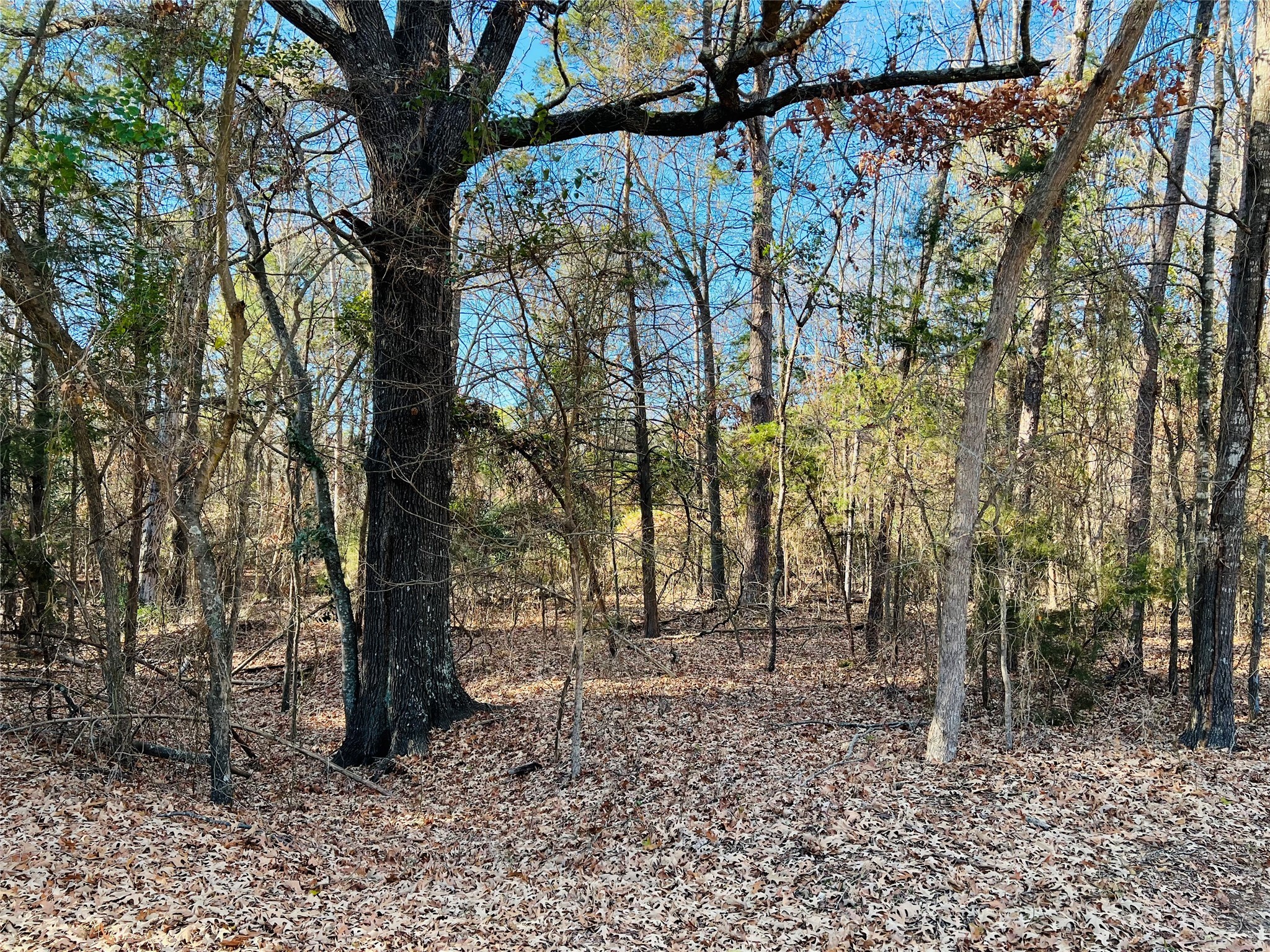 Lot 32 & 33 Winding Lane Mount Vernon TX 75457