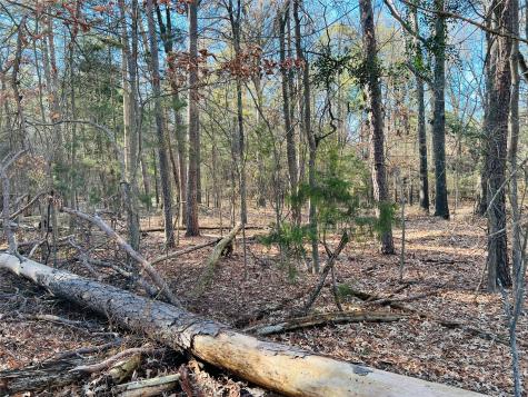 Lot 32 & 33 Winding Lane Mount Vernon TX 75457