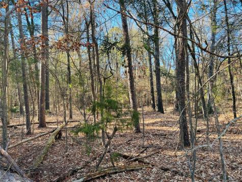 Lot 32 & 33 Winding Lane Mount Vernon TX 75457
