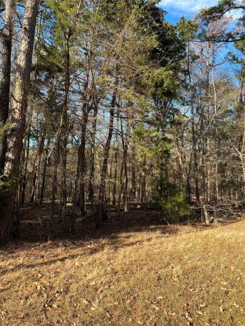 Lot 32 & 33 Winding Lane Mount Vernon TX 75457