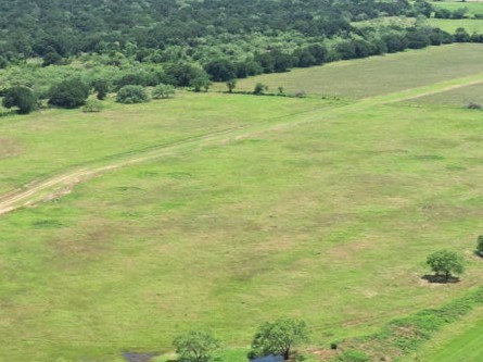 Lot 4 Hackberry Lane Mineral Wells TX 76067