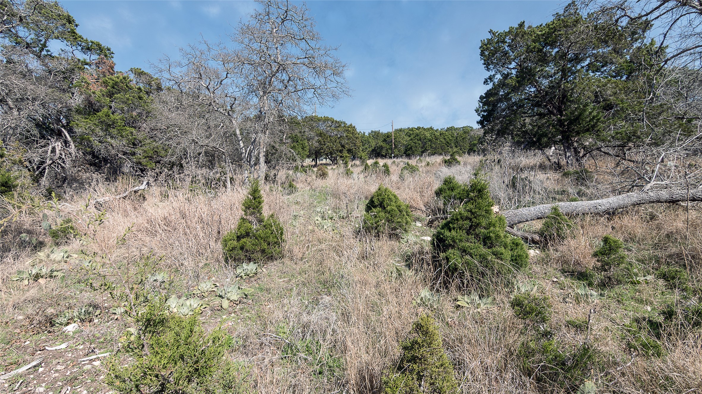 16089 Charlya Drive Temple TX 76502