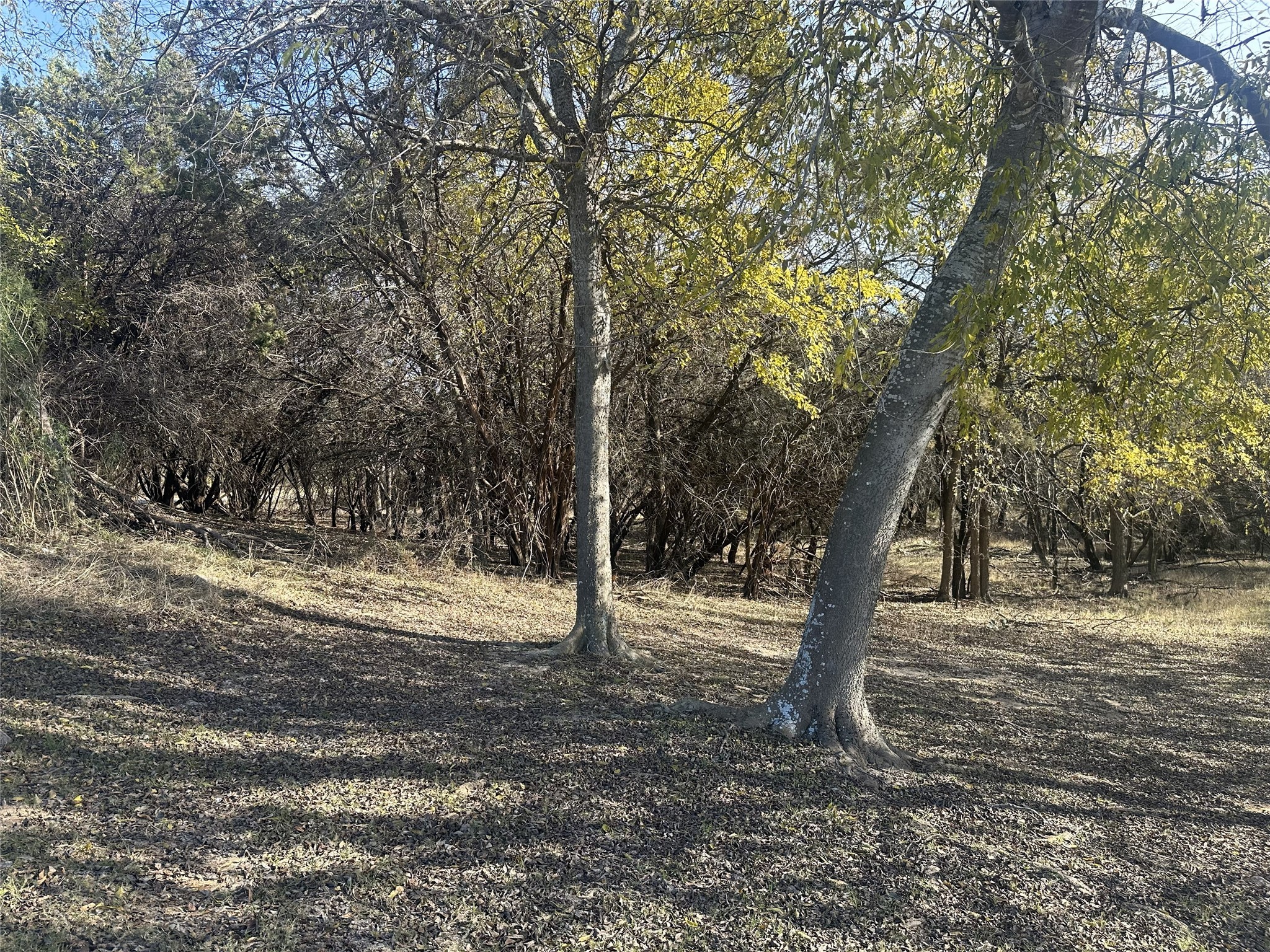 7024 & 7025 Golf Drive Whitney TX 76692