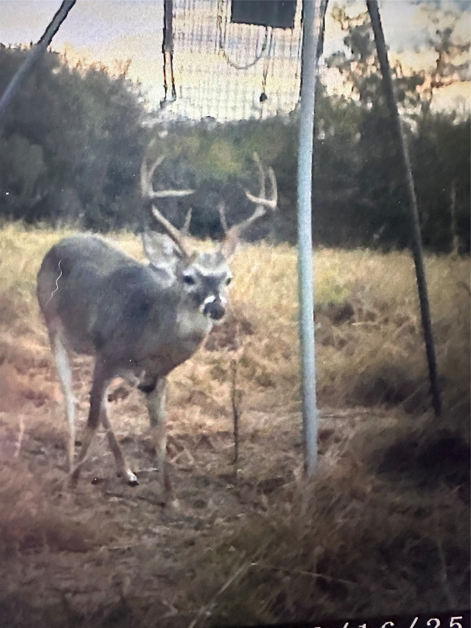 Tbd N Fm 55 Barry TX 75102