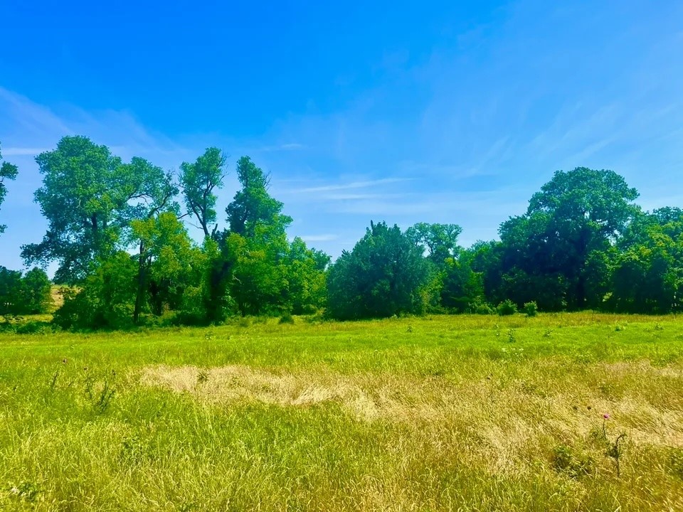 Lot 93 Kerry Court Poolville TX 76487