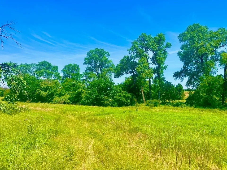 Lot 93 Kerry Court Poolville TX 76487