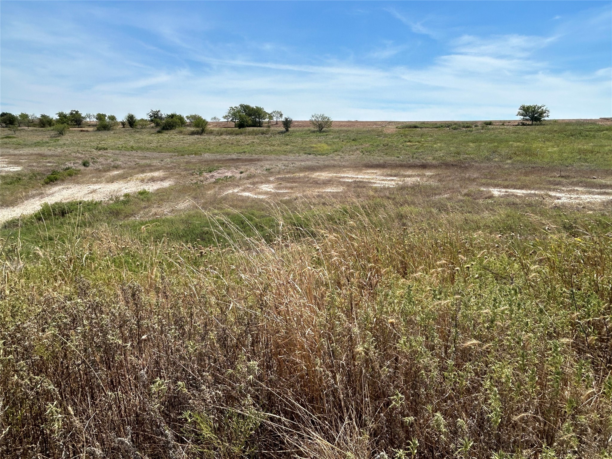 1029 Bear Creek Ranch Road Aledo TX 76008