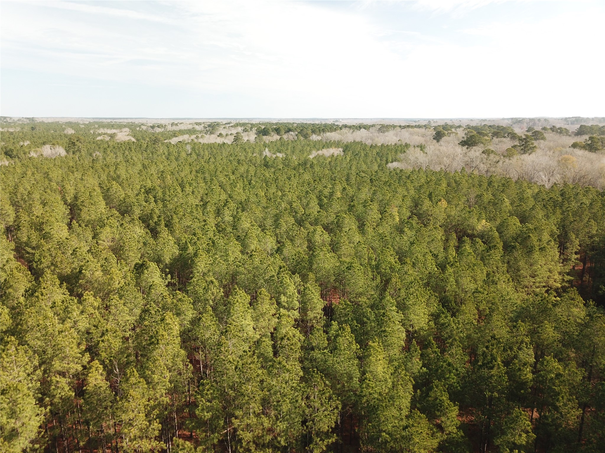 00 Off Countree Road Zwolle LA 71486