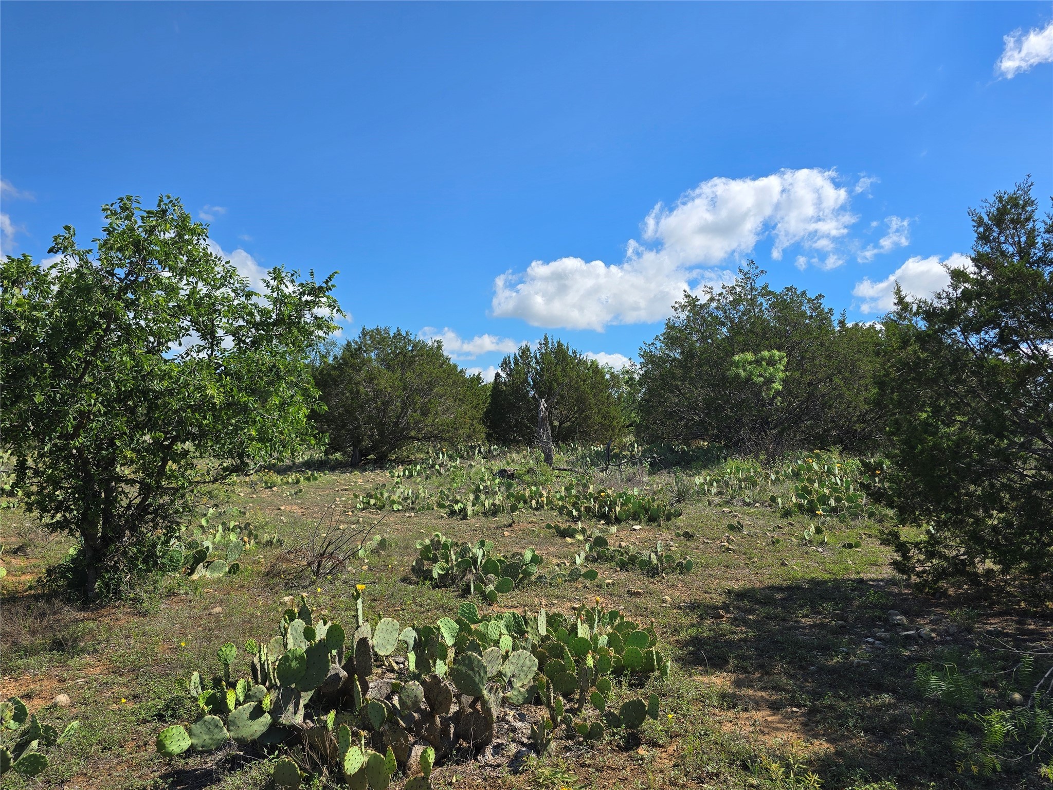 Tbd County Road 218 Santa Anna TX 76878