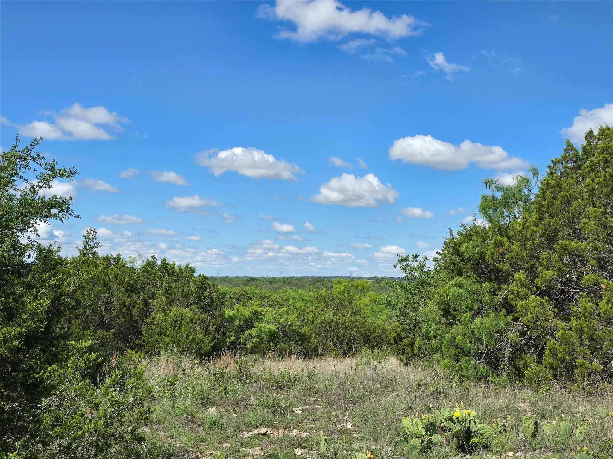 Tbd County Road 218 Santa Anna TX 76878