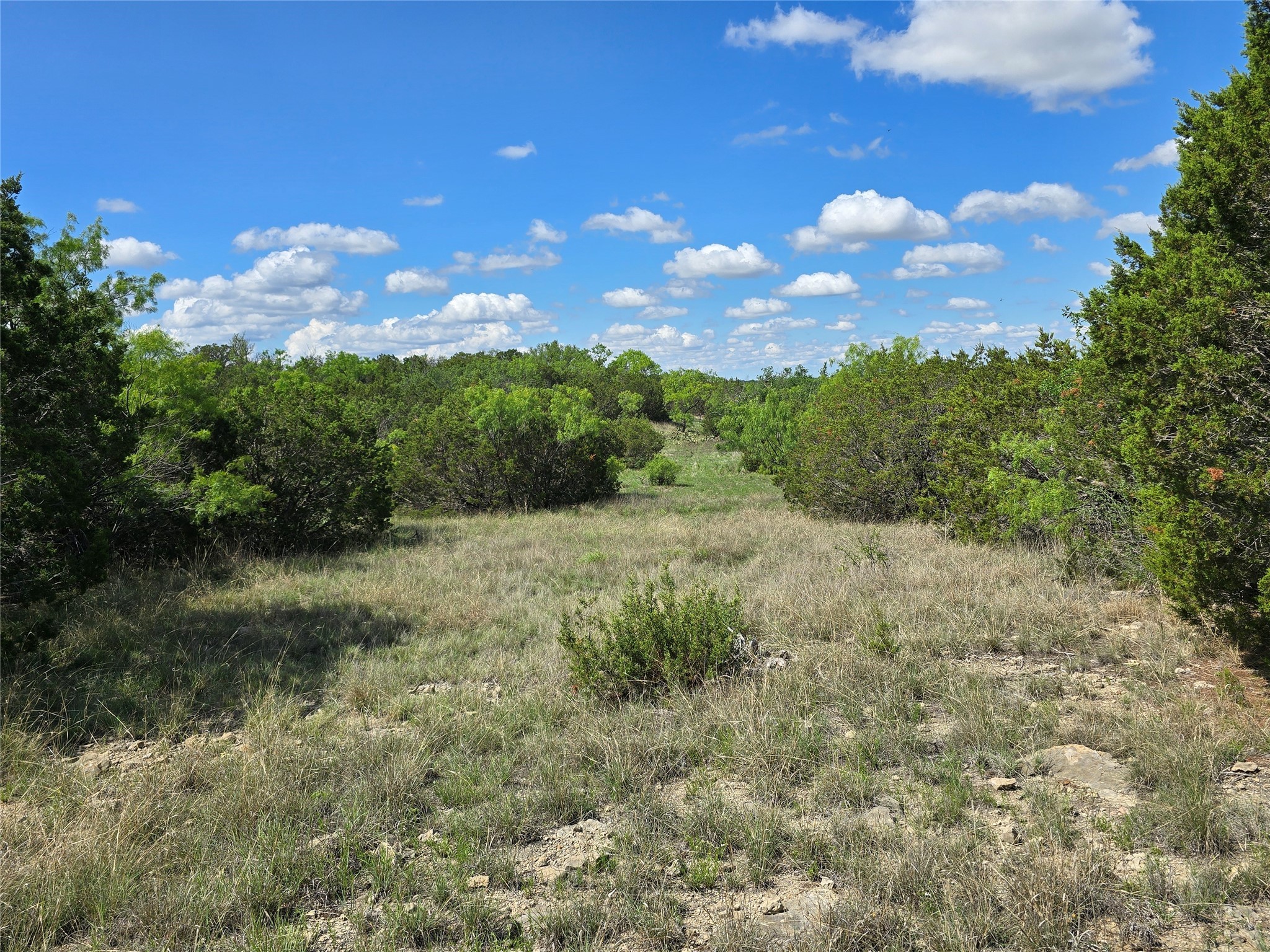 Tbd County Road 218 Santa Anna TX 76878