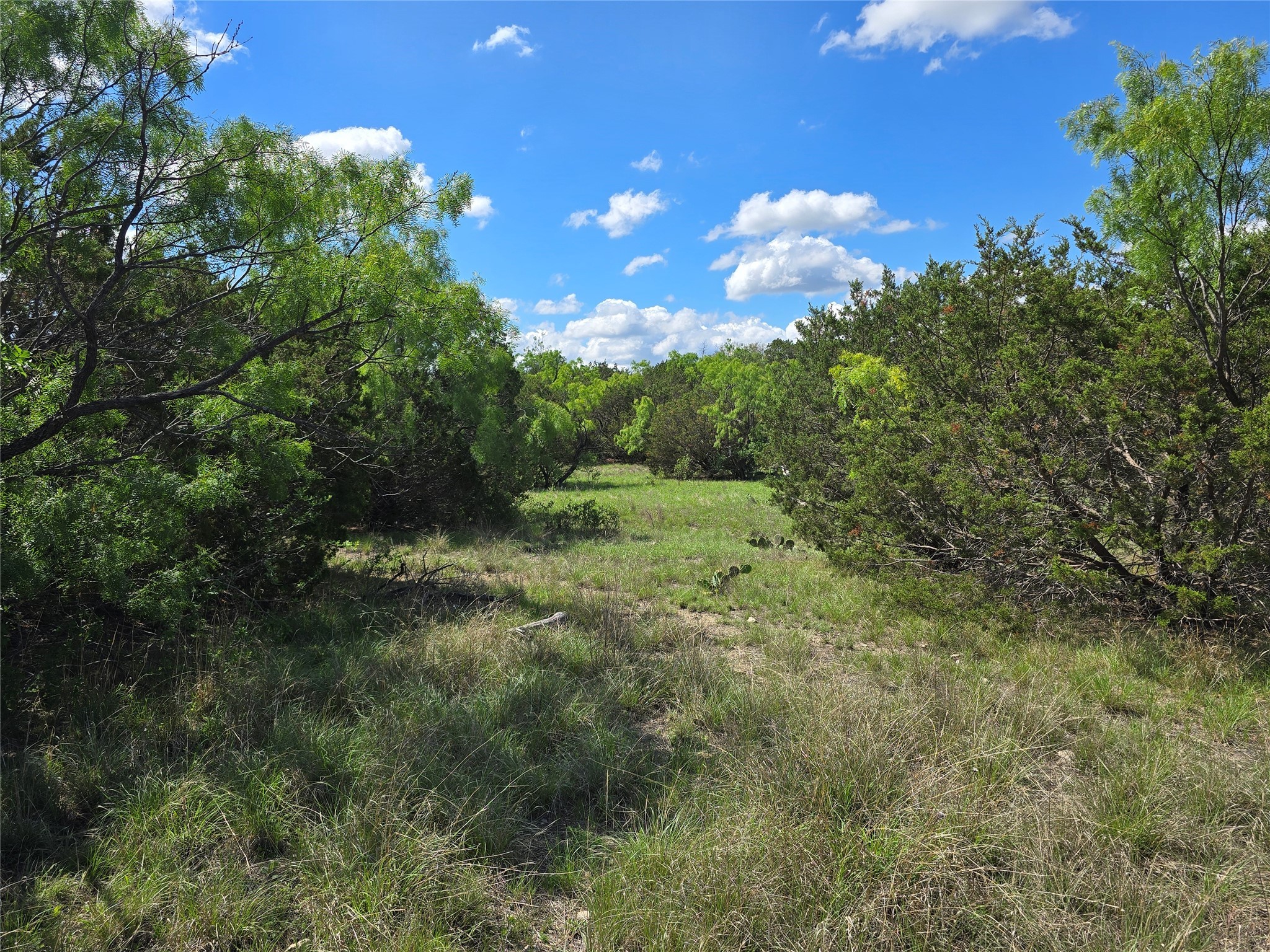 Tbd County Road 218 Santa Anna TX 76878