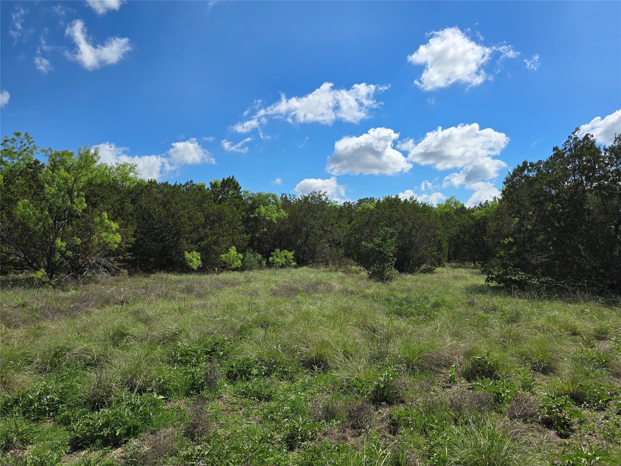 Tbd County Road 218 Santa Anna TX 76878