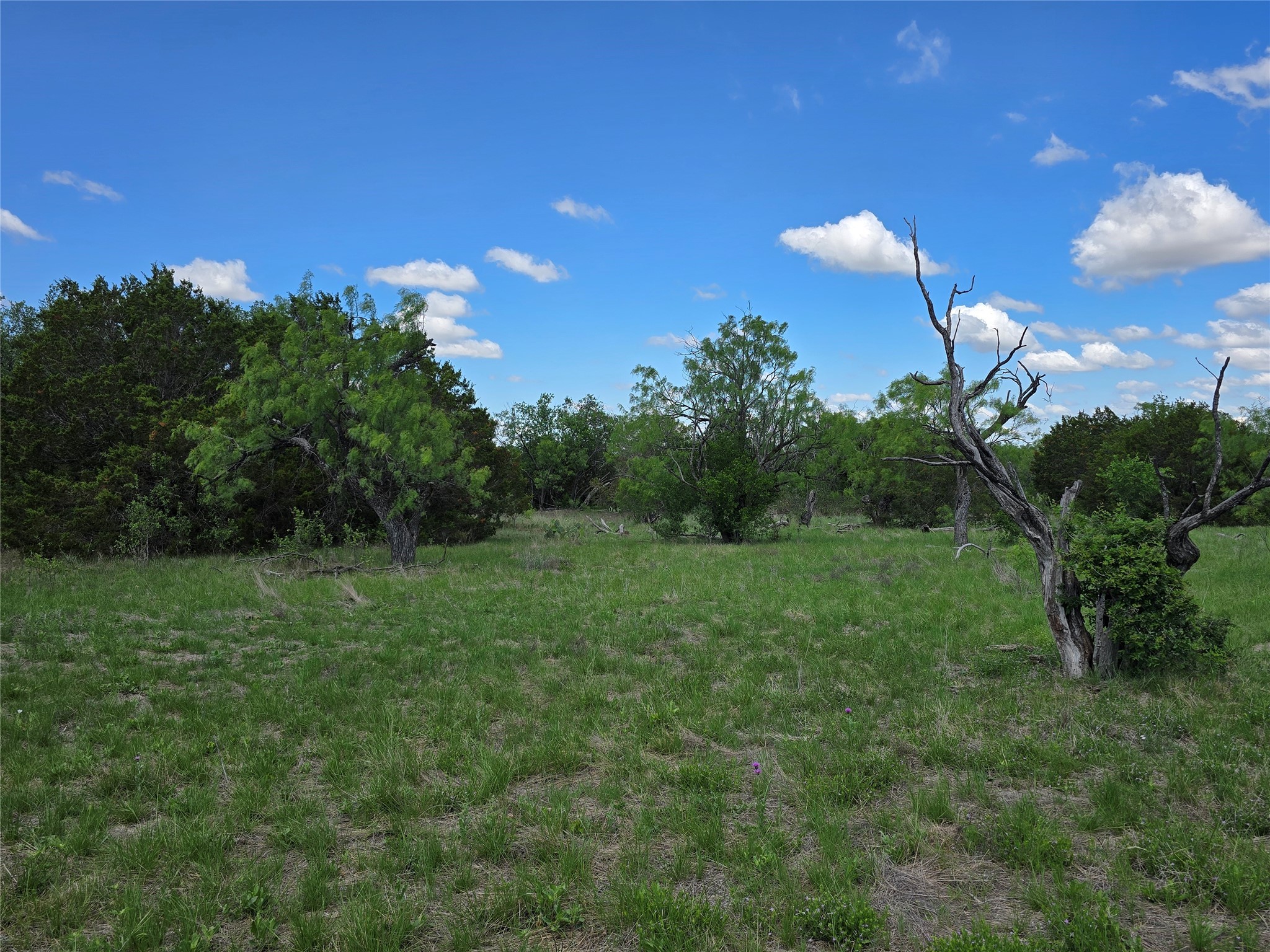 Tbd County Road 218 Santa Anna TX 76878