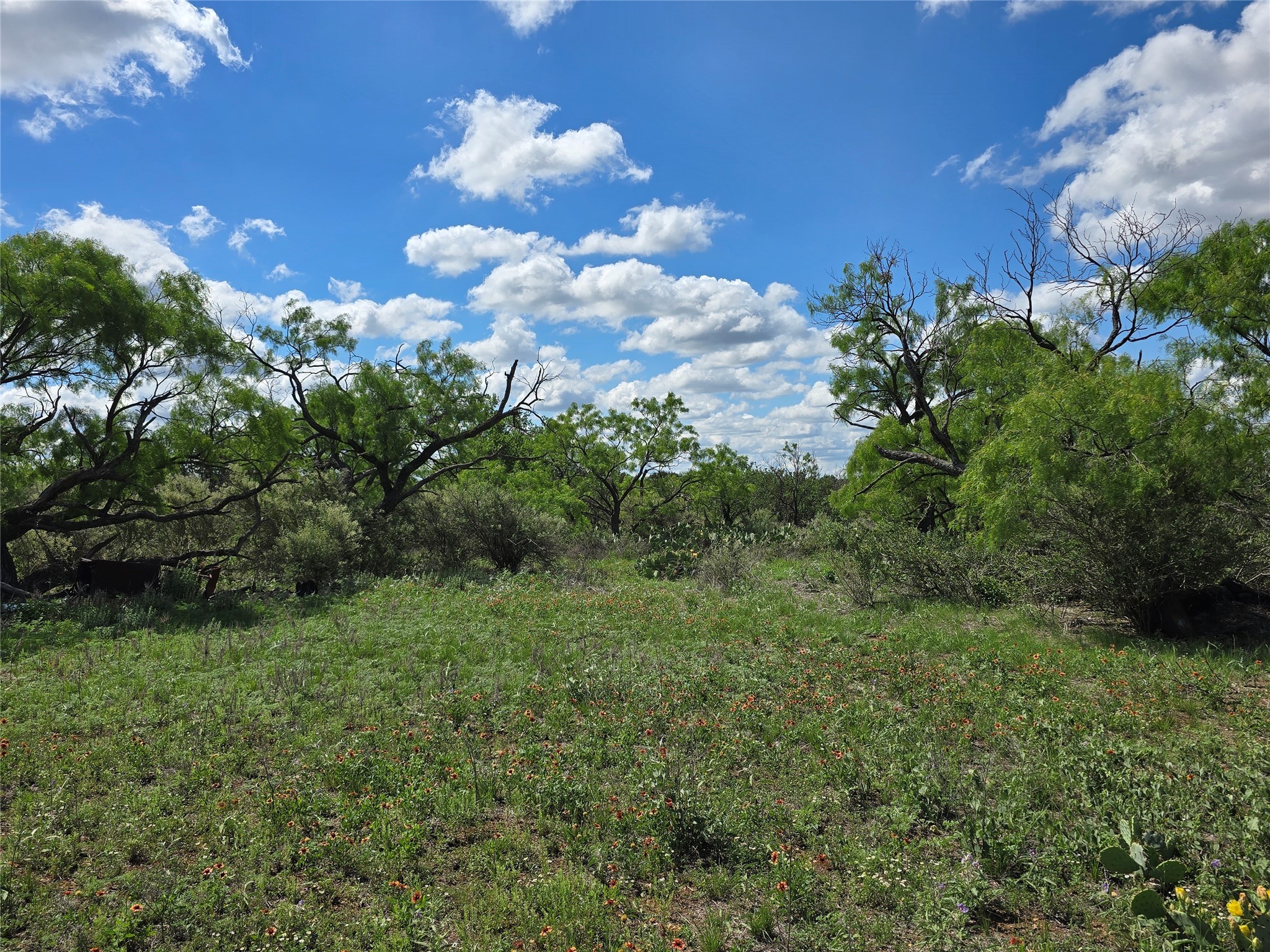 Tbd County Road 218 Santa Anna TX 76878