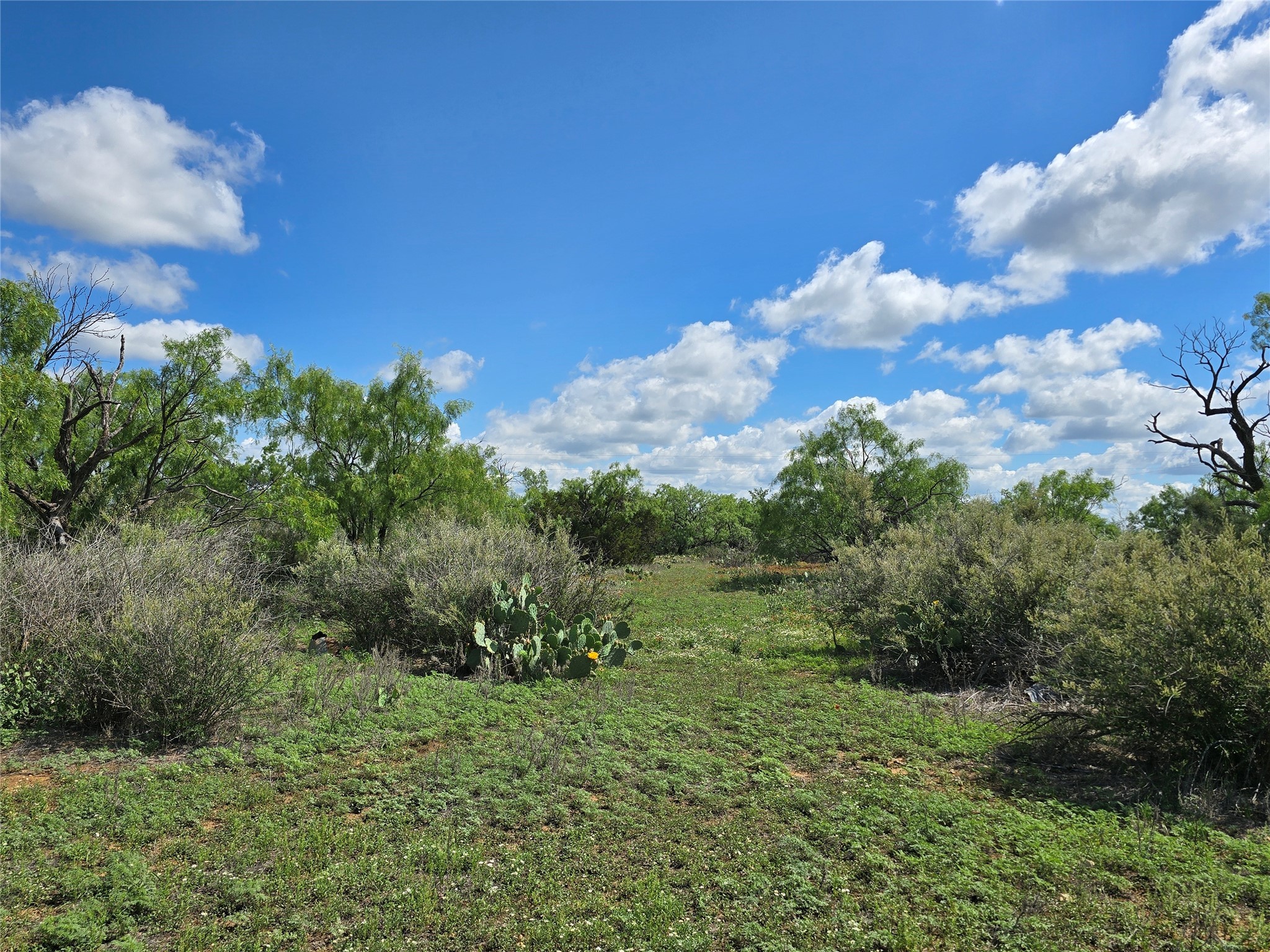 Tbd County Road 218 Santa Anna TX 76878