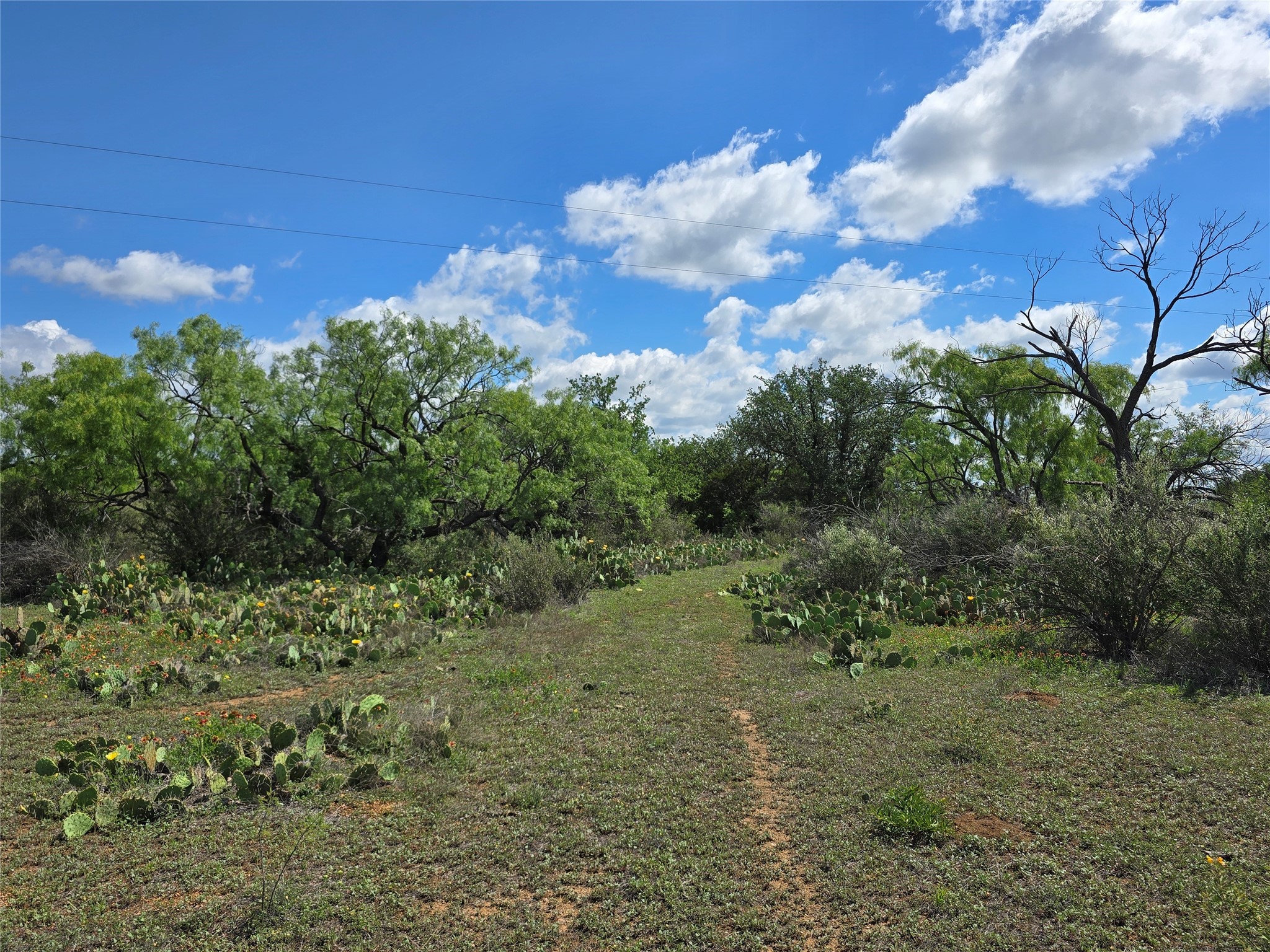 Tbd County Road 218 Santa Anna TX 76878