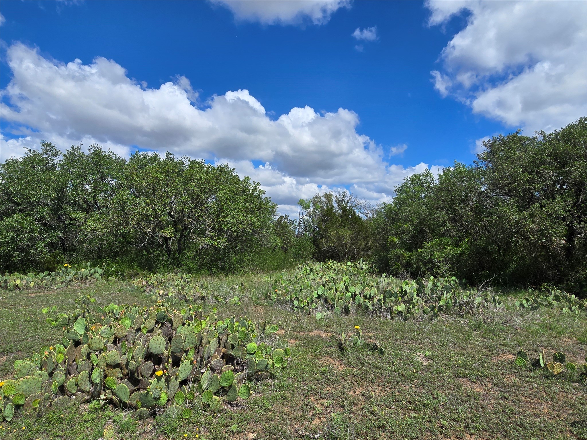 Tbd County Road 218 Santa Anna TX 76878