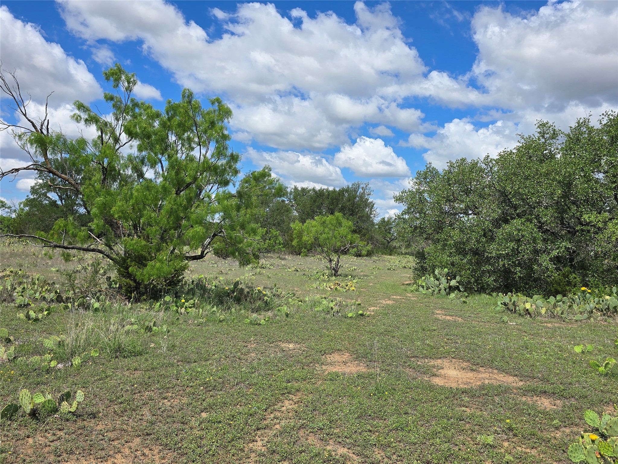 Tbd County Road 218 Santa Anna TX 76878