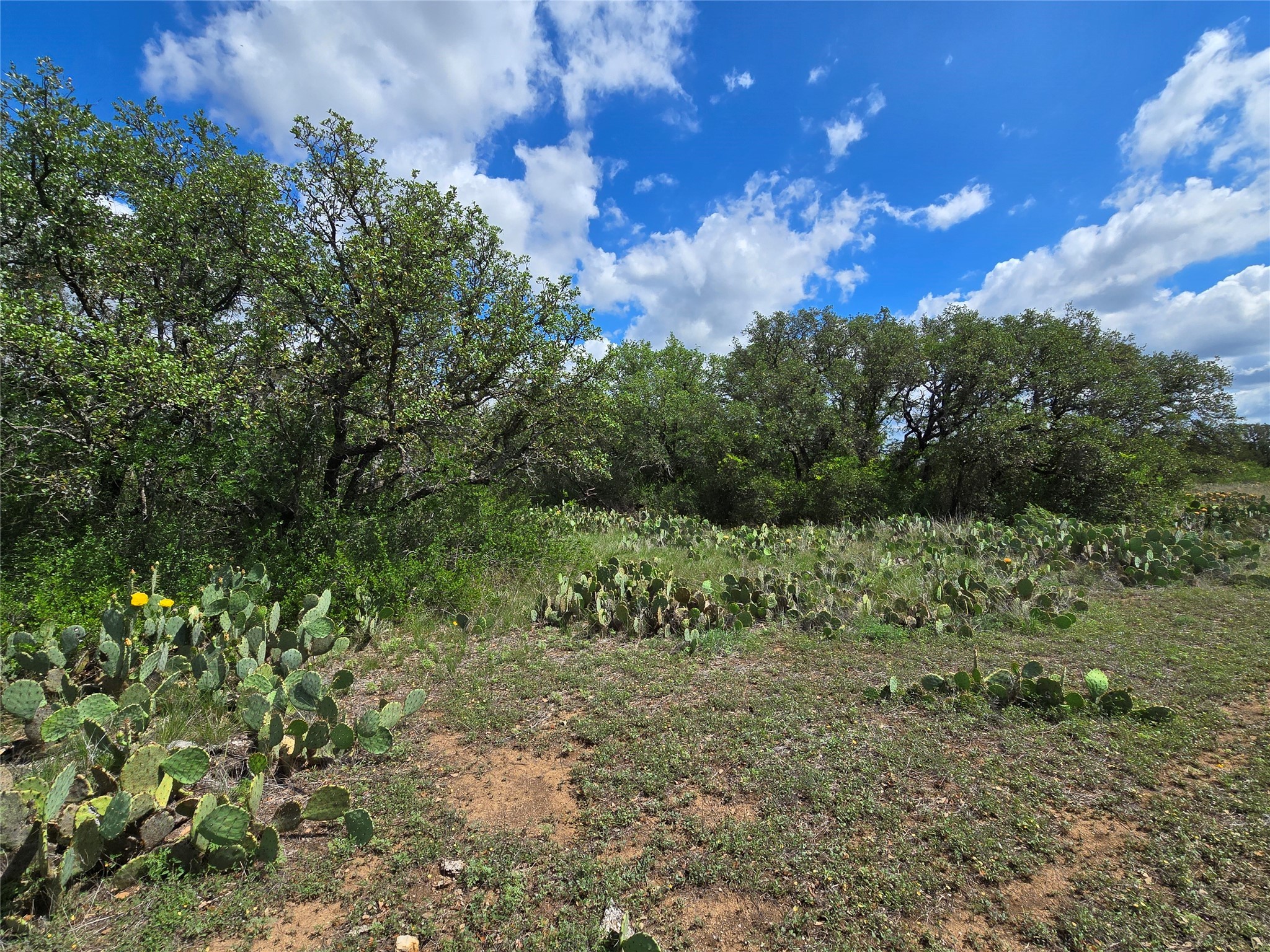 Tbd County Road 218 Santa Anna TX 76878