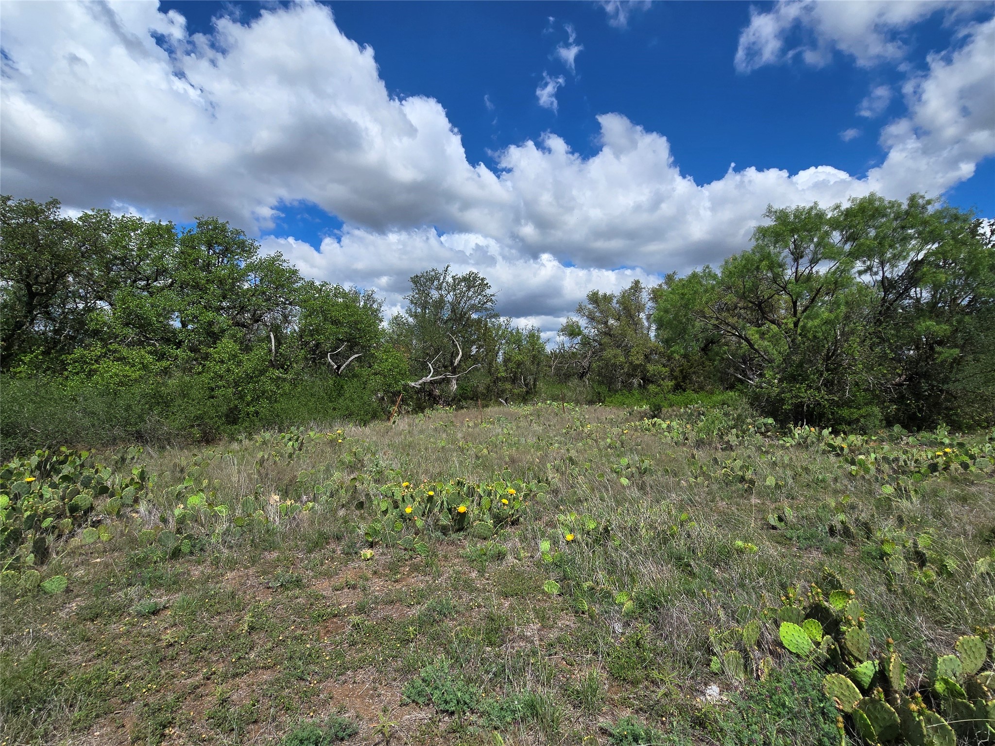 Tbd County Road 218 Santa Anna TX 76878