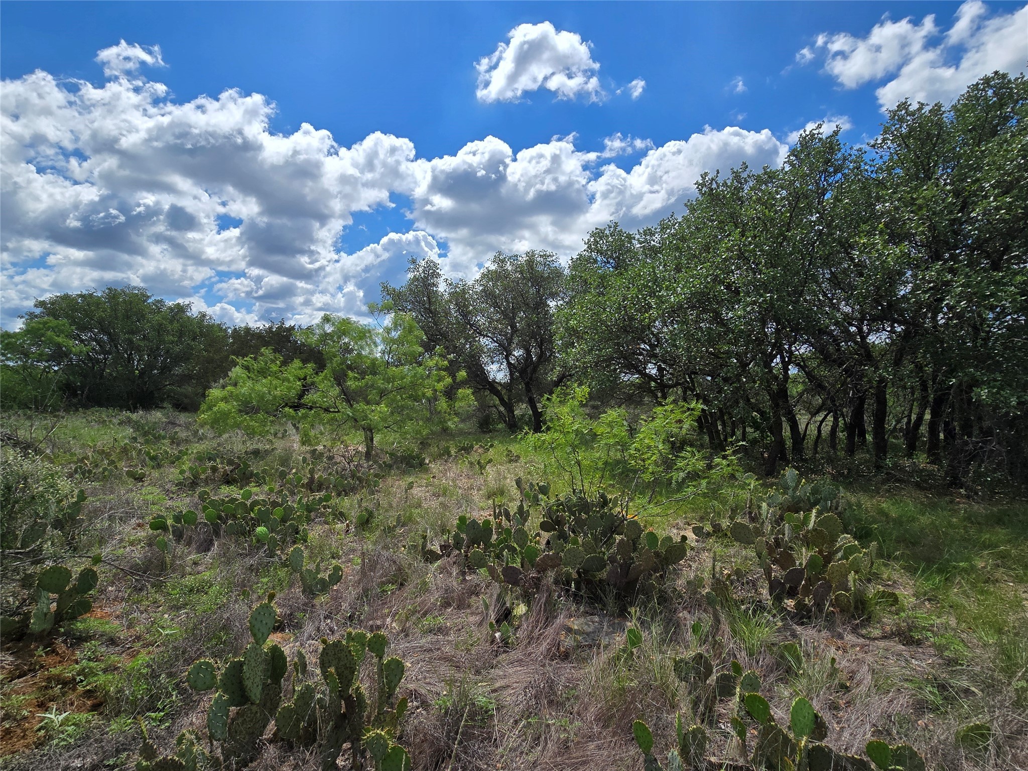 Tbd County Road 218 Santa Anna TX 76878