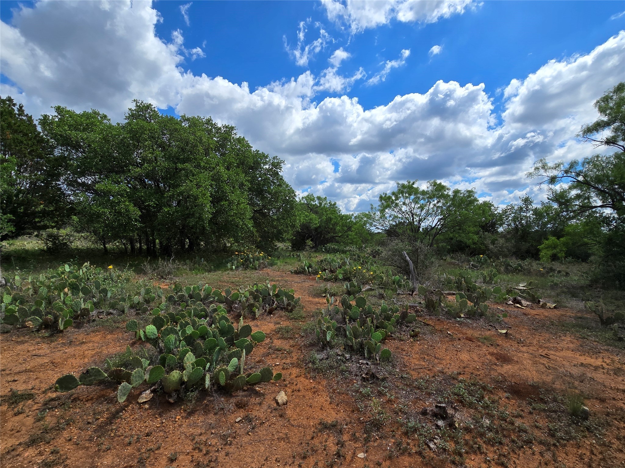 Tbd County Road 218 Santa Anna TX 76878