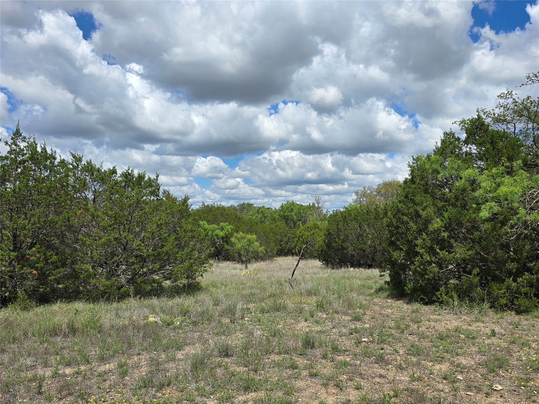 Tbd County Road 218 Santa Anna TX 76878