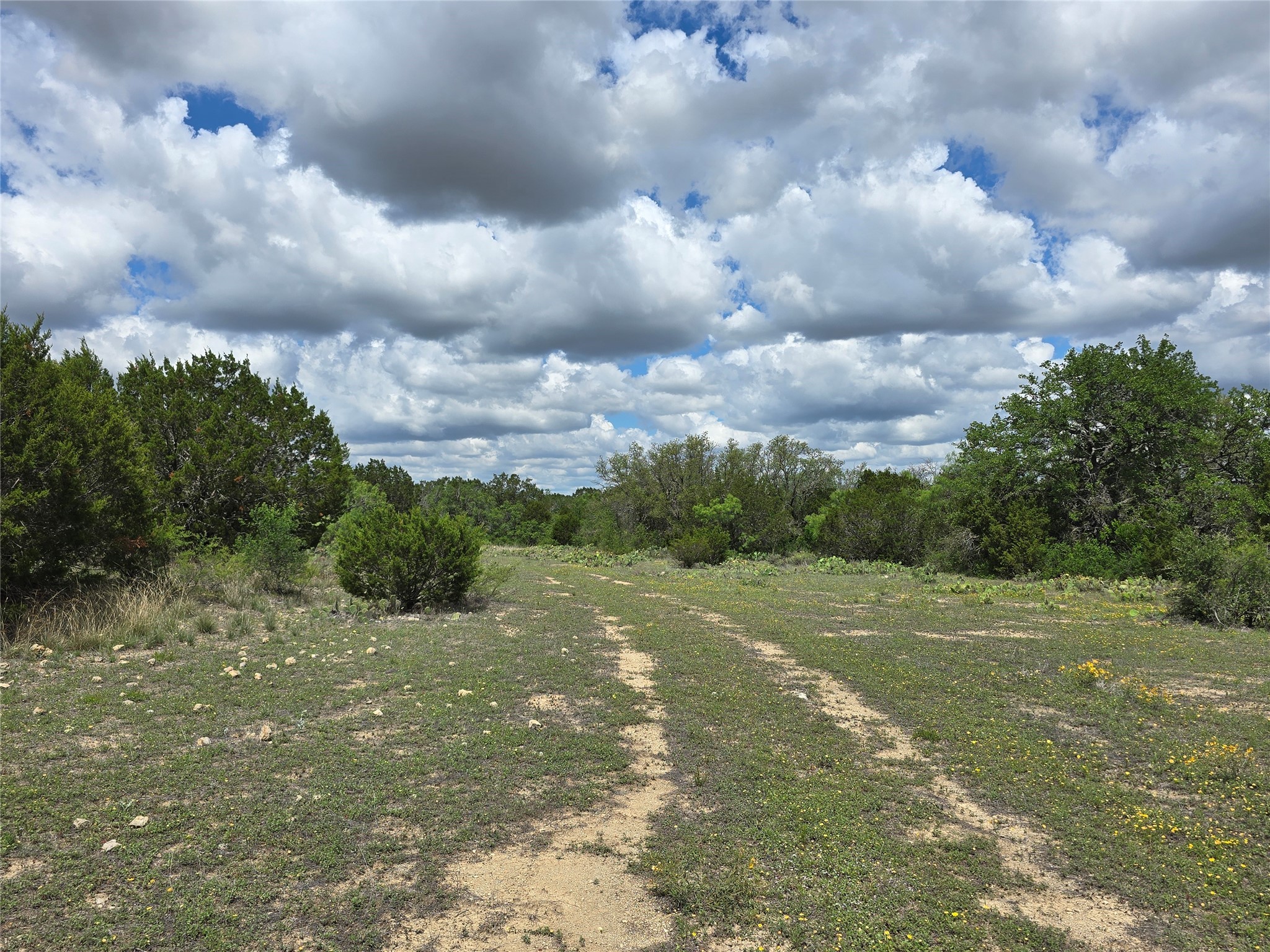 Tbd County Road 218 Santa Anna TX 76878