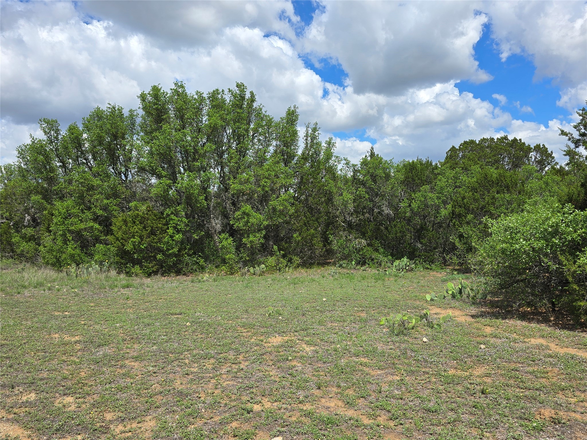 Tbd County Road 218 Santa Anna TX 76878