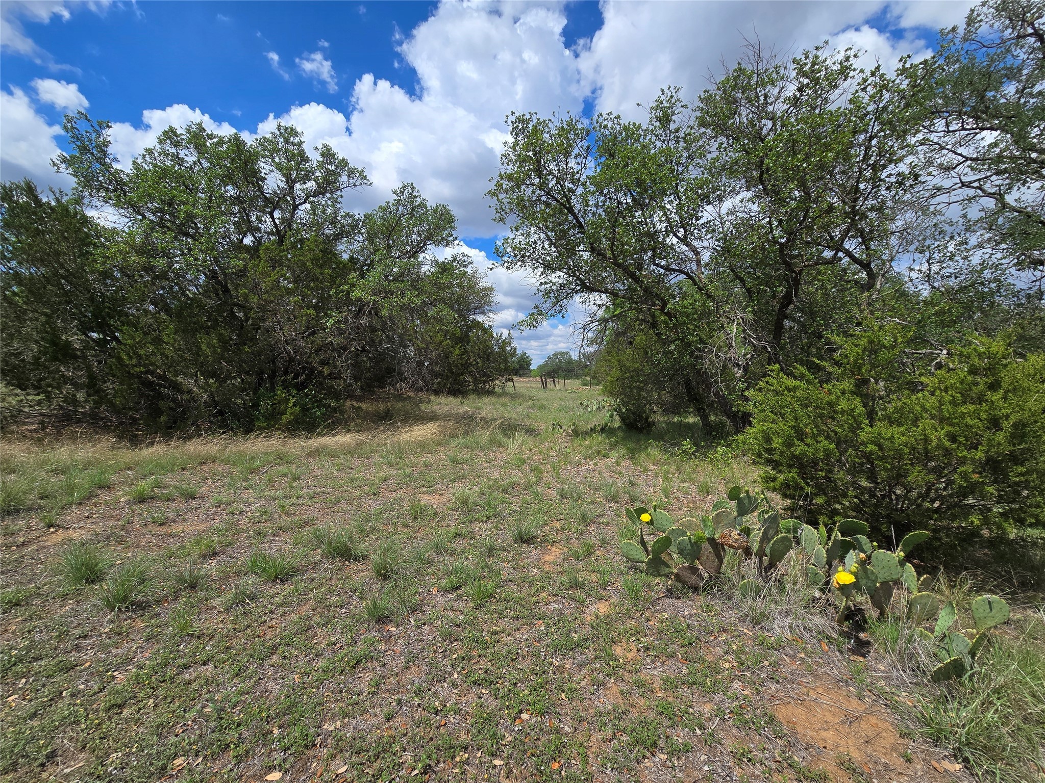 Tbd County Road 218 Santa Anna TX 76878