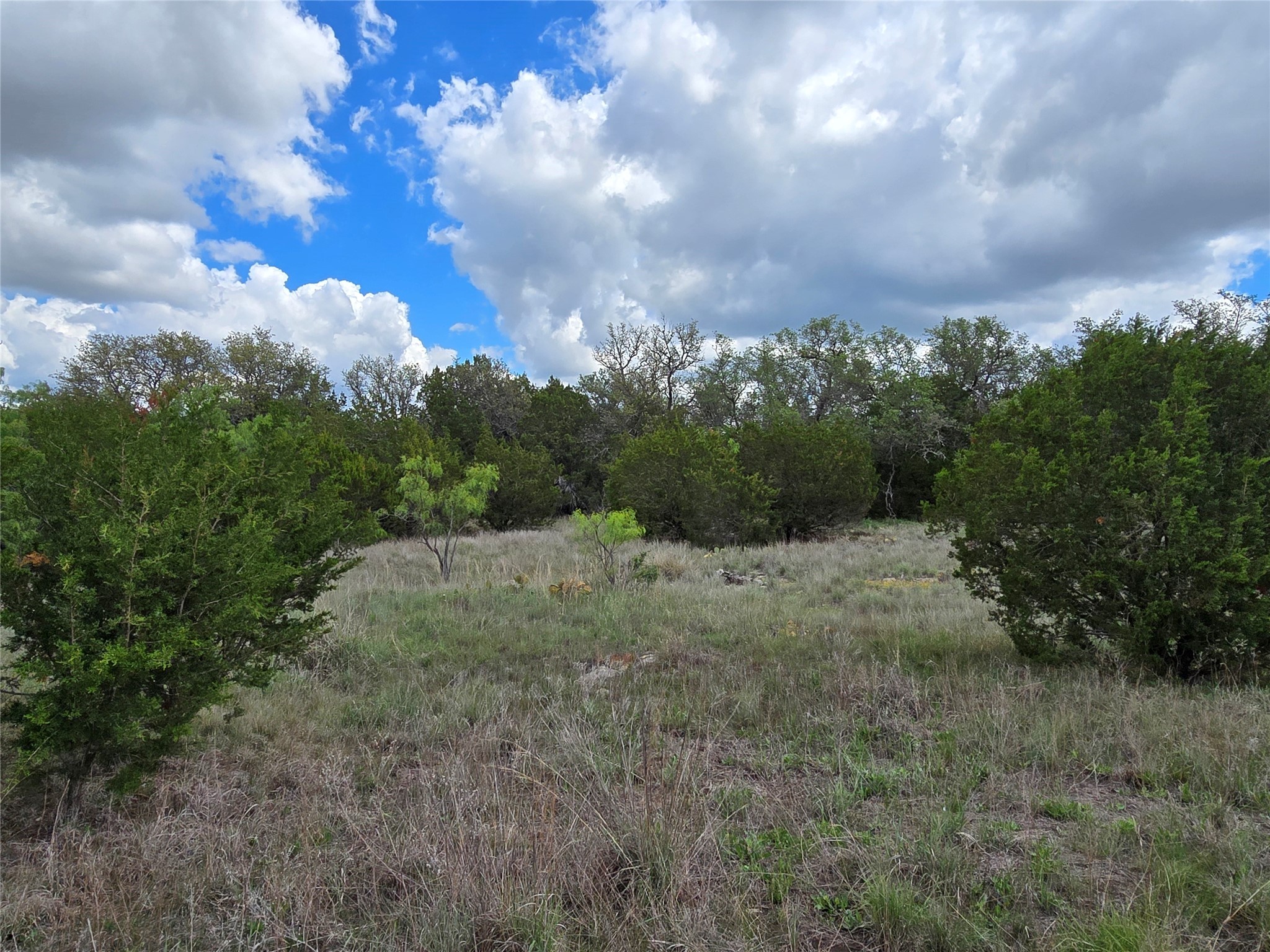 Tbd County Road 218 Santa Anna TX 76878