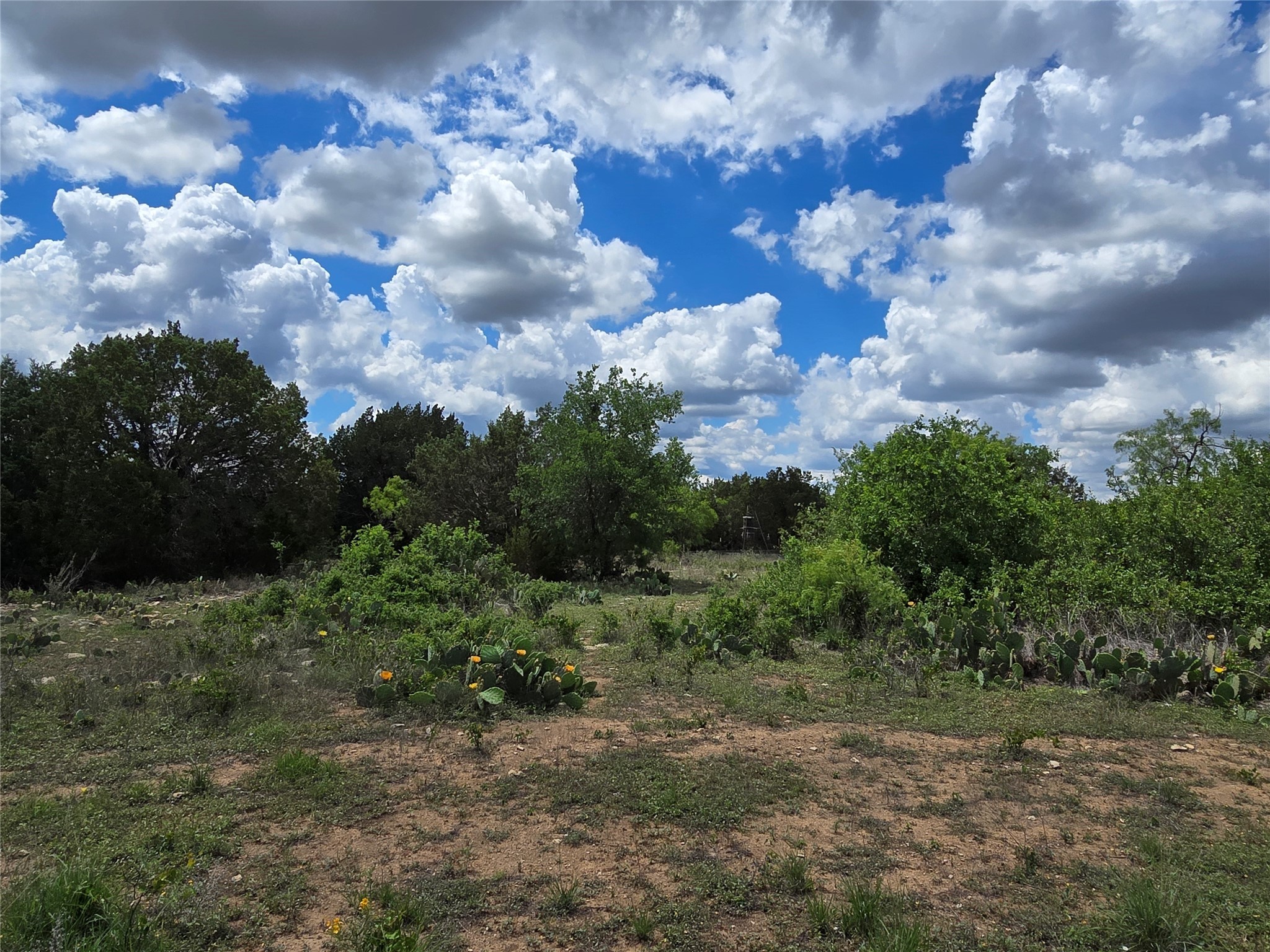 Tbd County Road 218 Santa Anna TX 76878