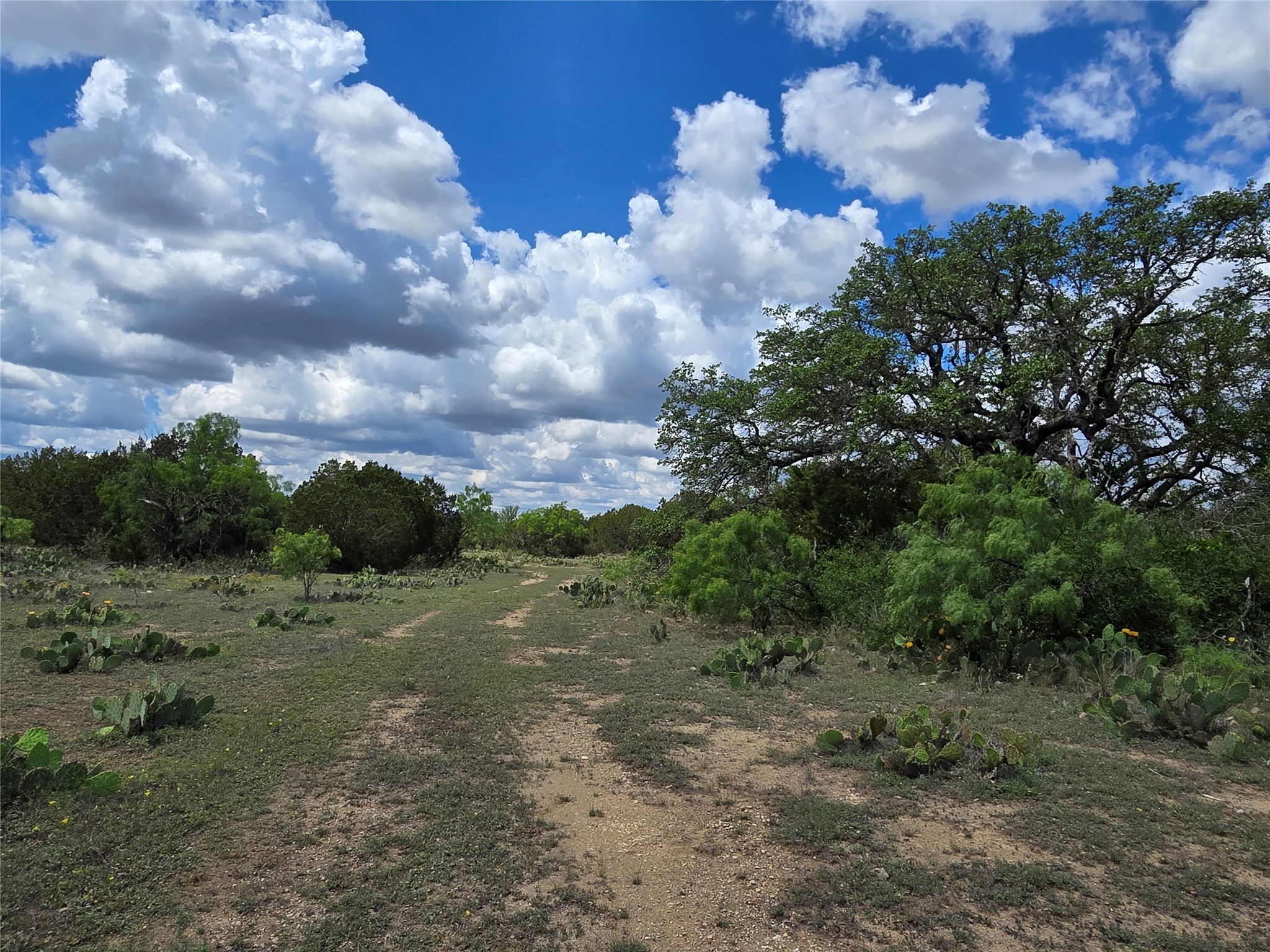 Tbd County Road 218 Santa Anna TX 76878