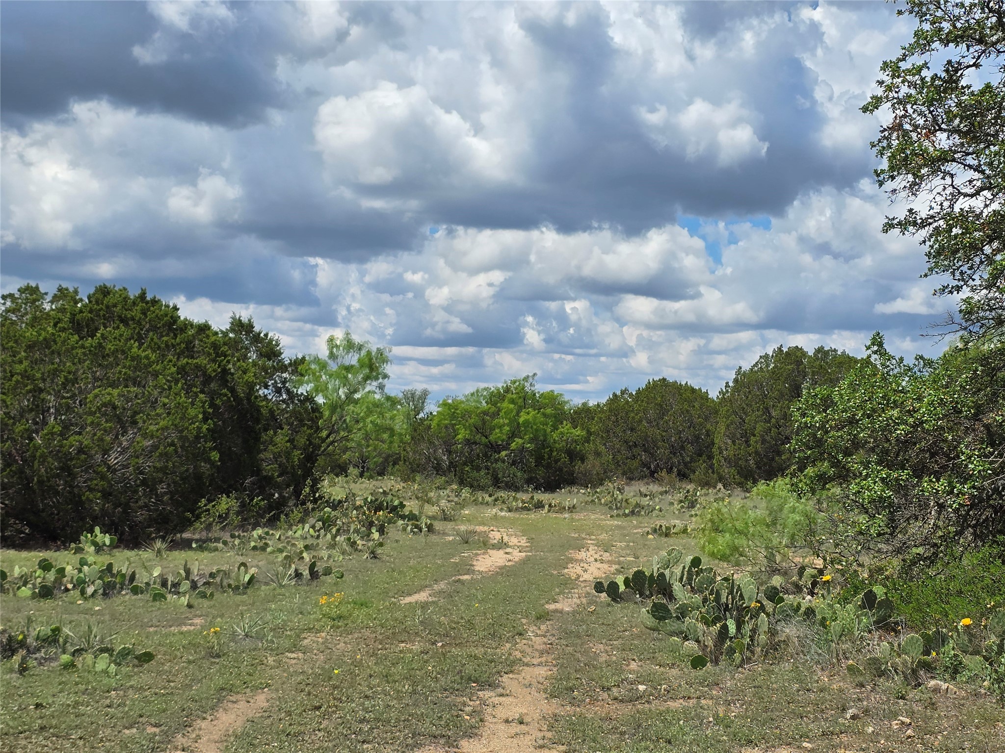 Tbd County Road 218 Santa Anna TX 76878