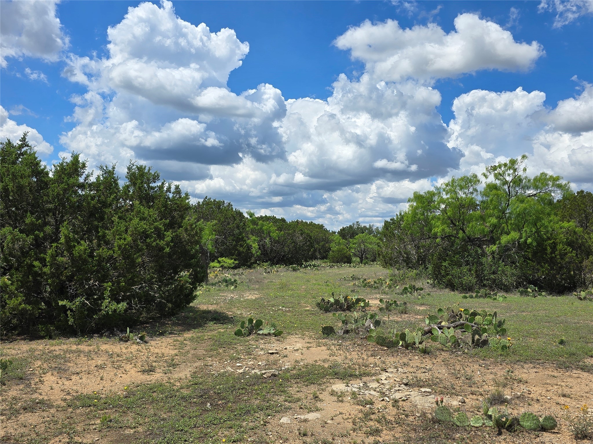 Tbd County Road 218 Santa Anna TX 76878