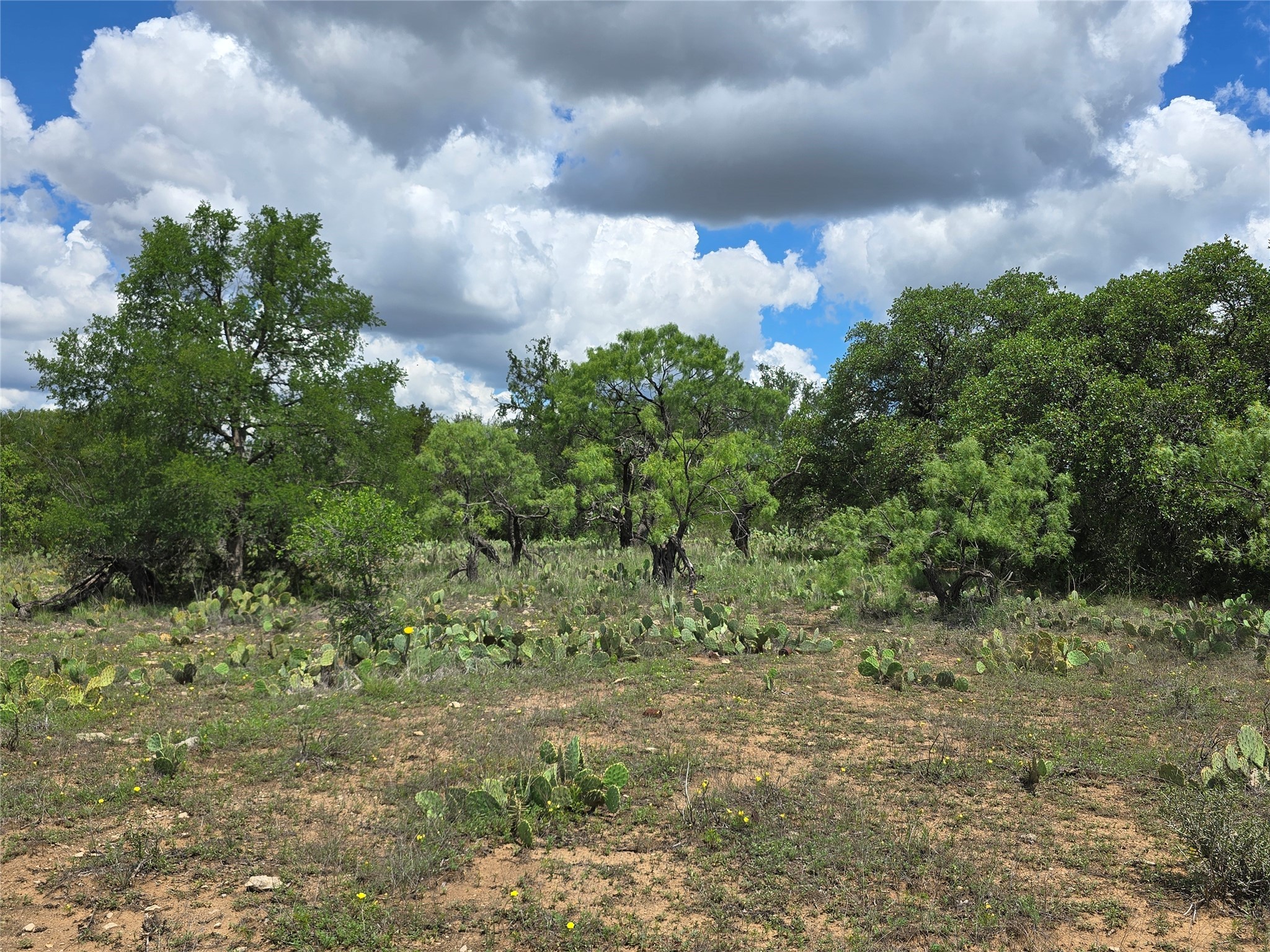 Tbd County Road 218 Santa Anna TX 76878