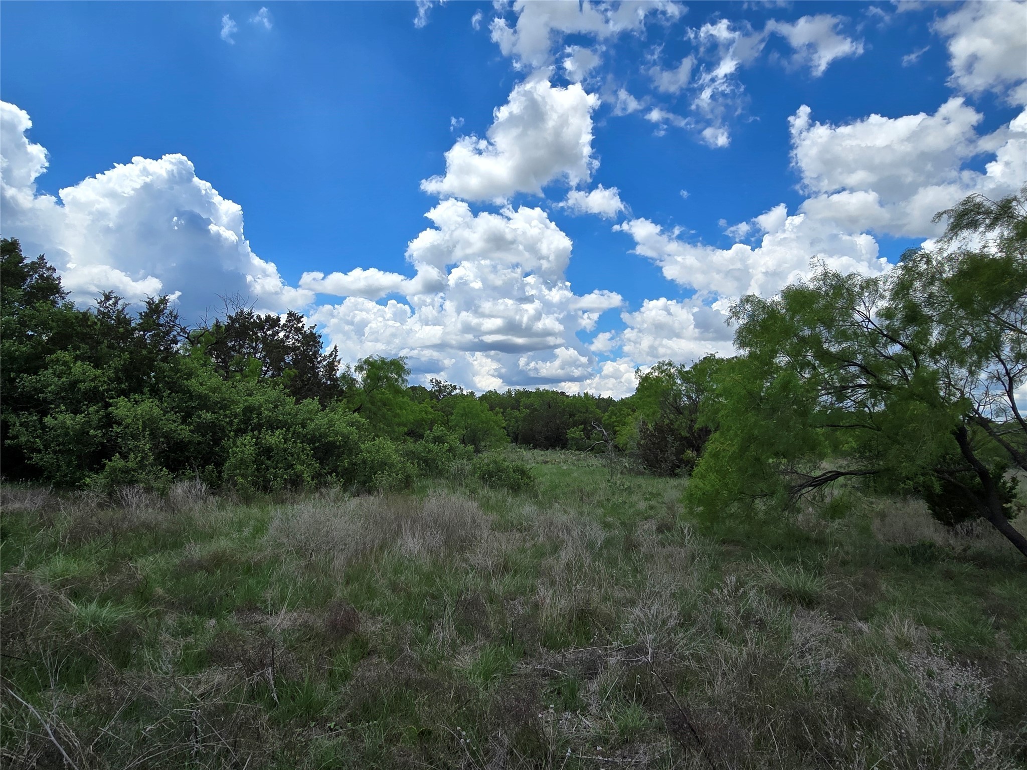 Tbd County Road 218 Santa Anna TX 76878