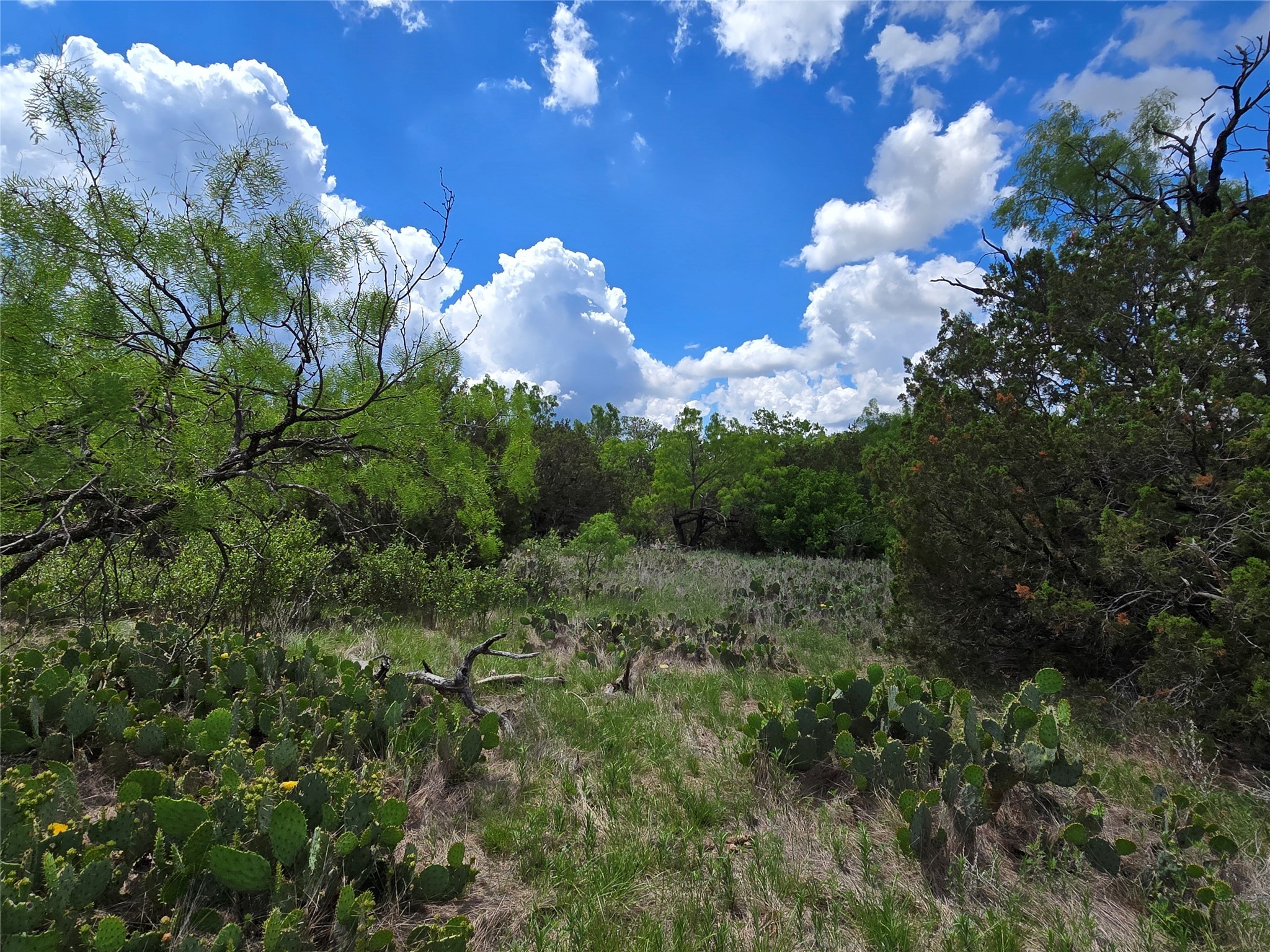 Tbd County Road 218 Santa Anna TX 76878