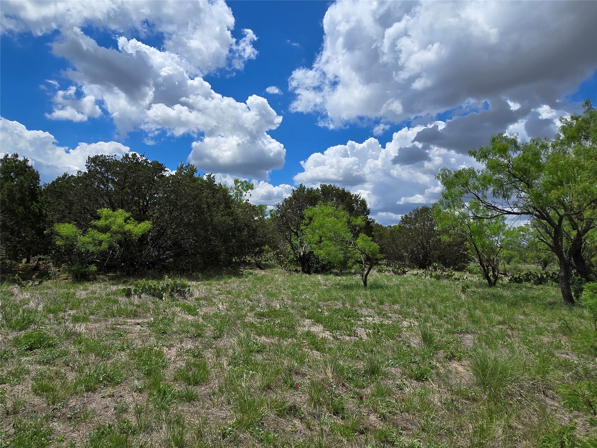 Tbd County Road 218 Santa Anna TX 76878