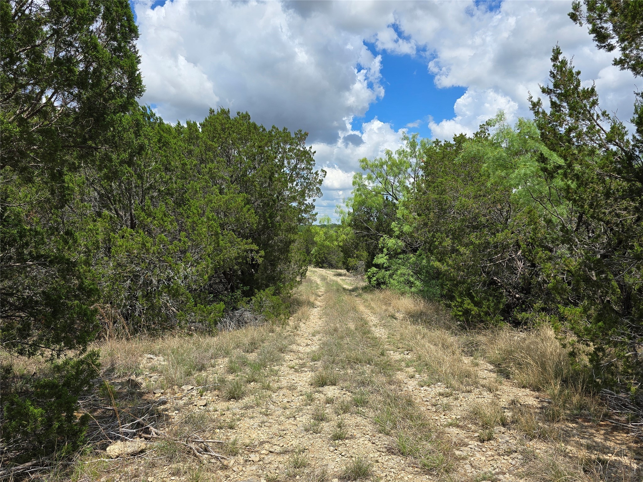 Tbd County Road 218 Santa Anna TX 76878