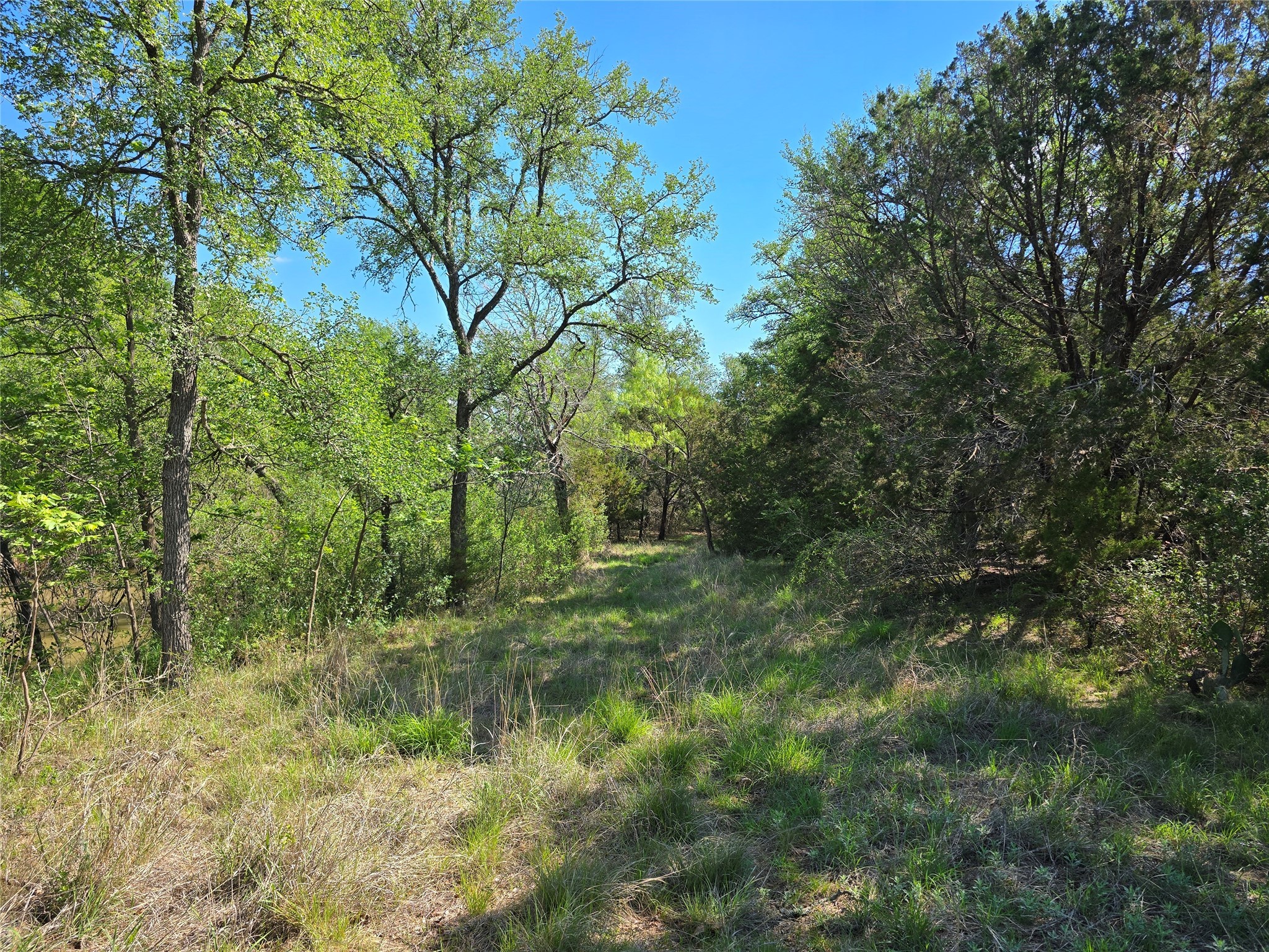 Tbd County Road 218 Santa Anna TX 76878