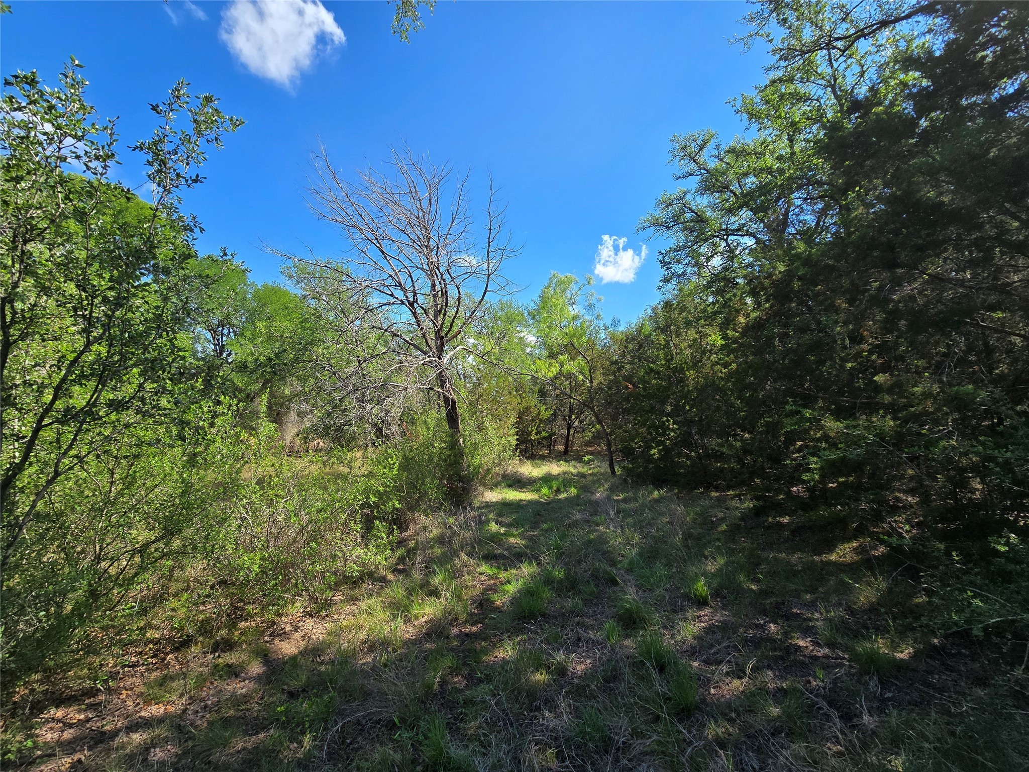 Tbd County Road 218 Santa Anna TX 76878