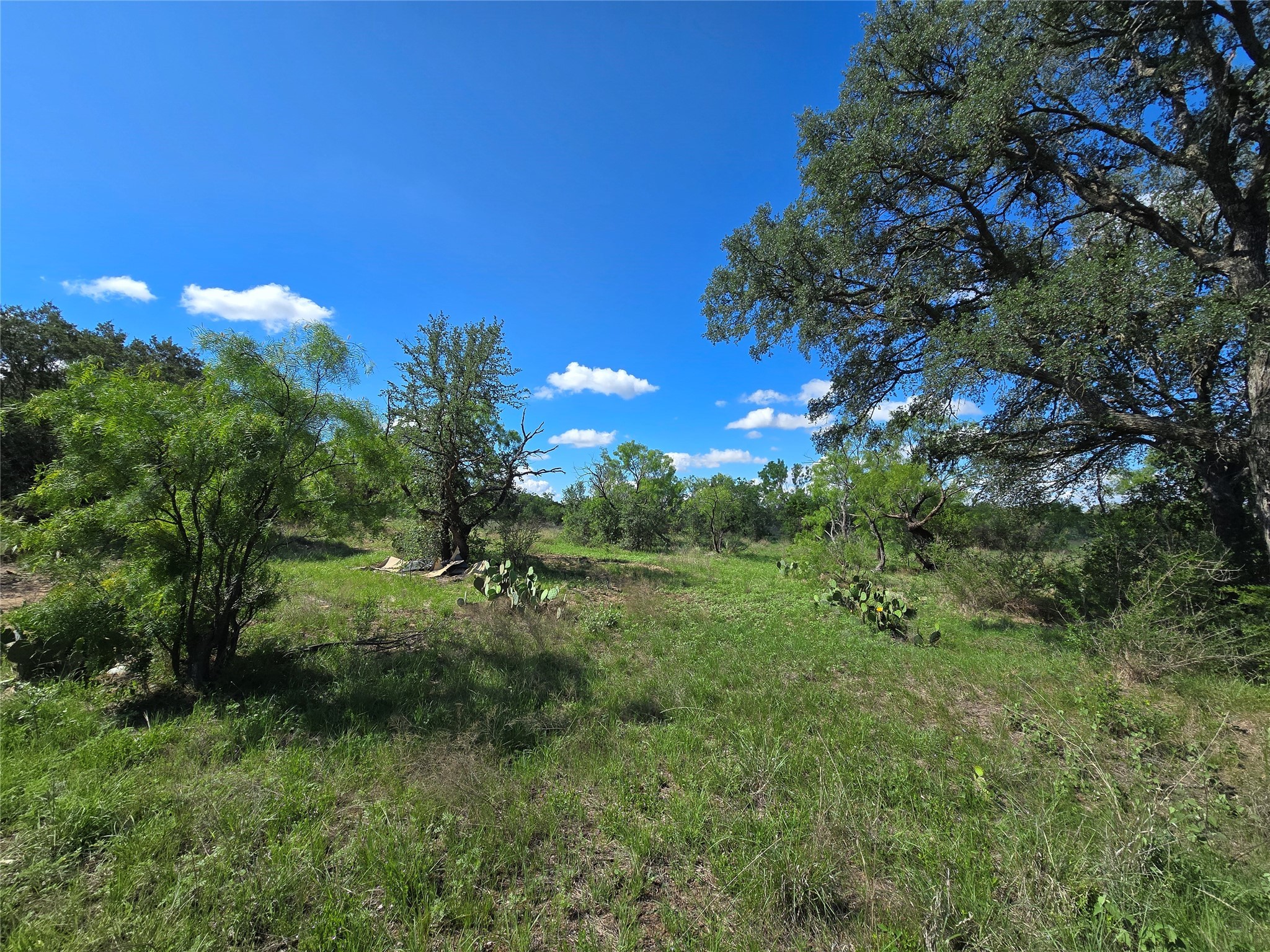 Tbd County Road 218 Santa Anna TX 76878