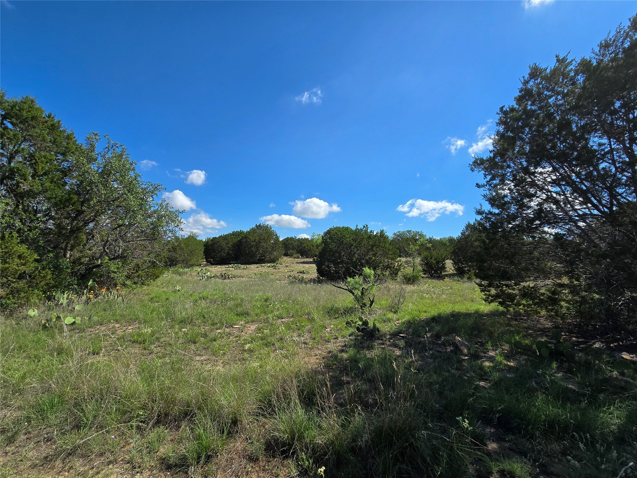 Tbd County Road 218 Santa Anna TX 76878