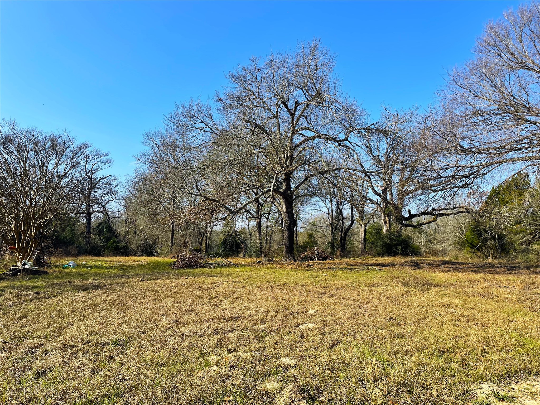 13701 County Road 349 Jewett TX 75846