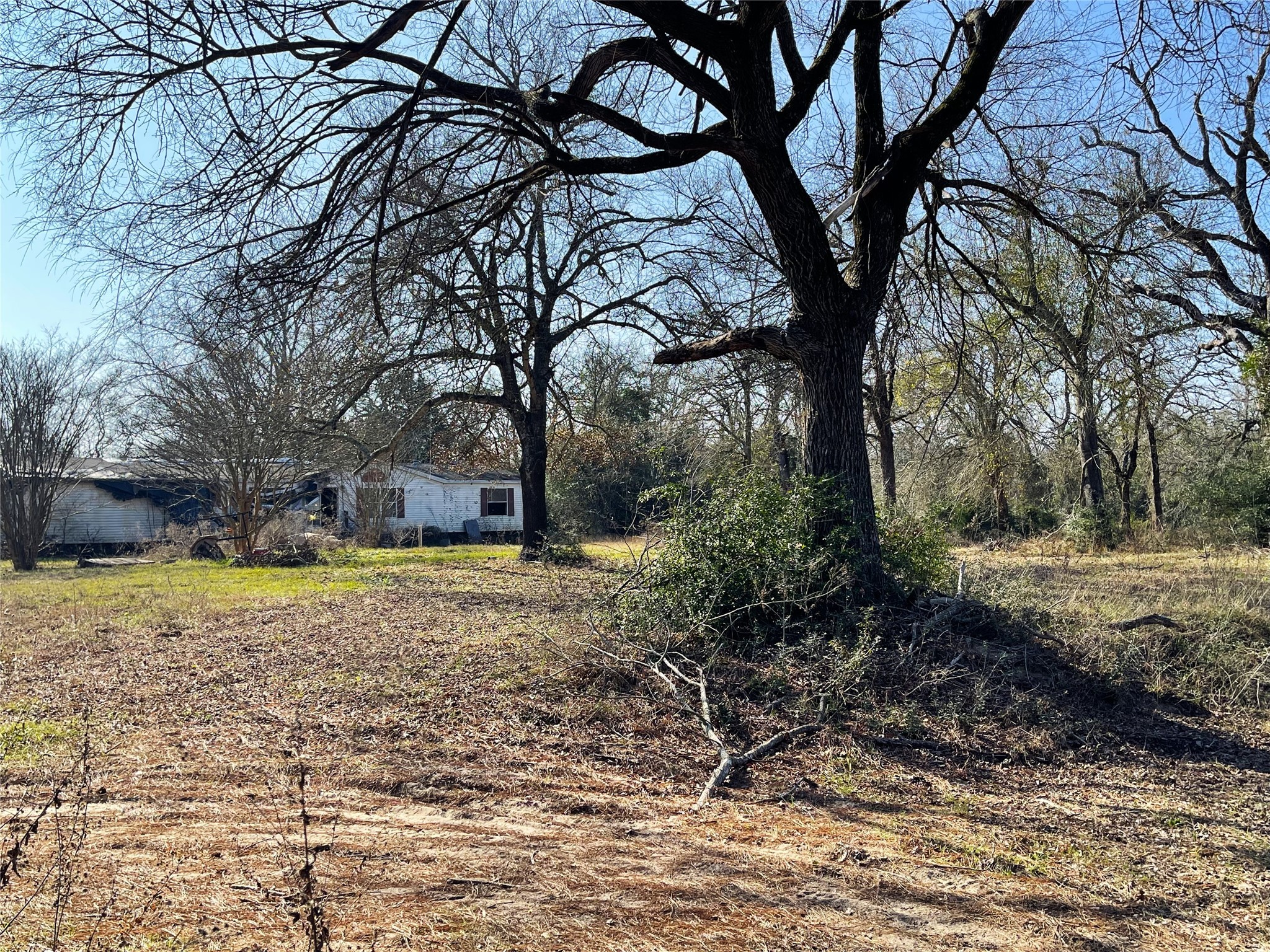 13701 County Road 349 Jewett TX 75846
