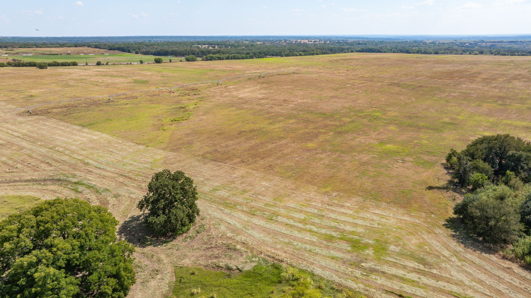 3066 County Road 285 Dublin TX 76446